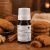 Gingersnap Cookies 10 ml illatolaj 
