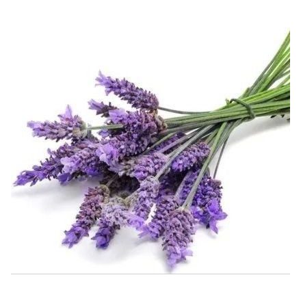 Levendula illatolaj 10 ml