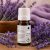 Levendula illatolaj 100 ml