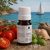 Paradicsom illatolaj 100 ml