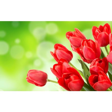 Tulipán illatolaj 100 ml