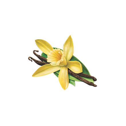 Vanília illatolaj 100 ml