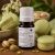 Pisztáciás macaronok 10 ml illatolaj 